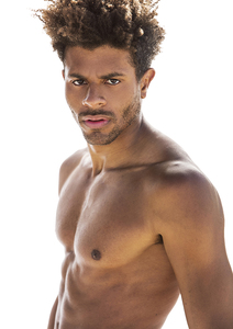 JORIS  LECHENE